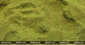 Гражданин России пытался вывезти в Польшу около 80 кг насвая 000024 115105 big - Информационно-аналитическое издание города Могилев