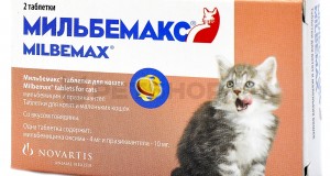 Мы в ответе за тех, кого приручили preparatyi dlya koshek - Информационно-аналитическое издание города Могилев