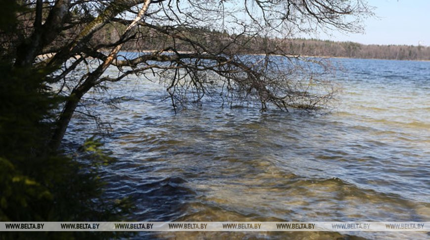 Запрет на лов щуки вводится с 1 марта в большинстве регионов Беларуси Запрет на лов щуки вводится с 1 марта в большинстве регионов Беларуси