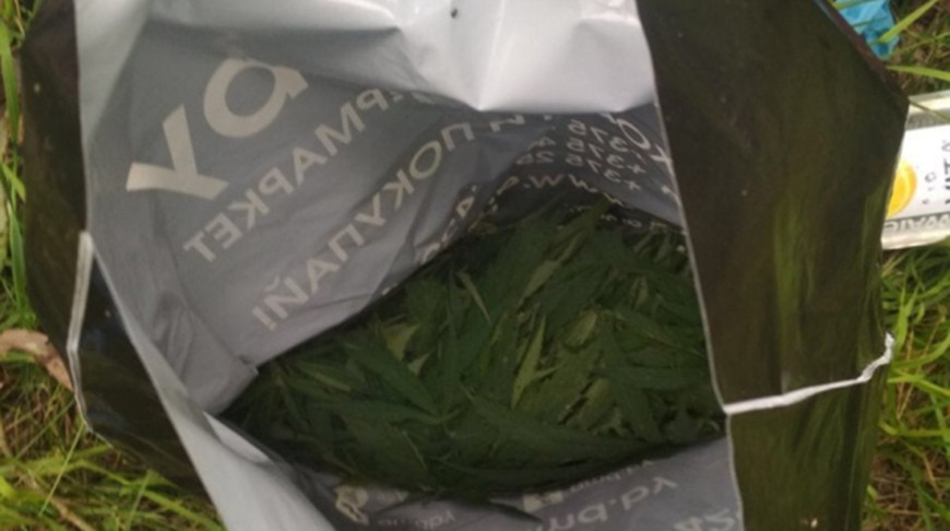 Жителя Гродно задержали с партией конопли